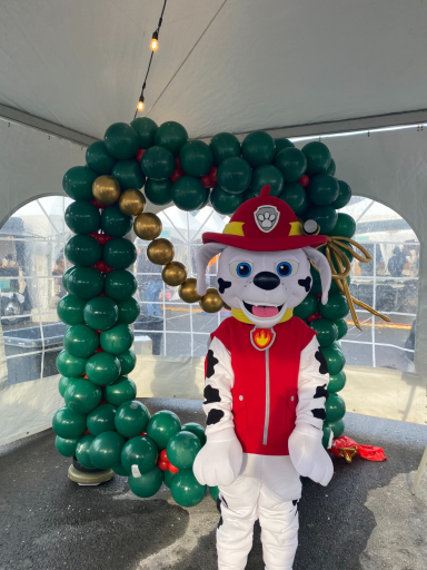 Paw Patrol Marshall in front of a balloon arch