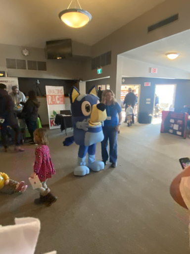 Bluey and participants